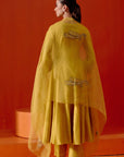 Mustard Embroidered Anarkali Set