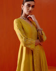 Mustard Embroidered Anarkali Set