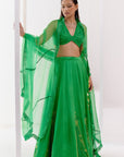 Green Dori Embroidered Lehenga Set