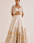 Ivory Silk Chanderi Hand-Painted Skirt and Cape Set