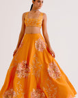 Orange Silk Chanderi Hand-Painted Lehenga Set