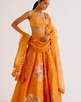 Orange Silk Chanderi Hand-Painted Lehenga Set