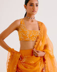 Orange Silk Chanderi Hand-Painted Lehenga Set