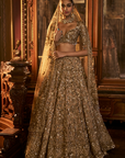 Antique Gold Tissue Lehenga Set