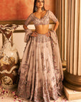 Dulect Lehenga Set