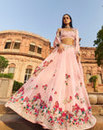 Ayala Lehenga Set