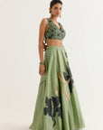 Olive Green Hand- Painted Lehenga Set