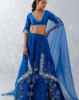 Blue Floral Embroidered Silk Chanderi Lehenga Set