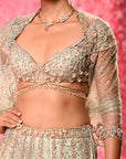 Sophia Cocktail Lehenga