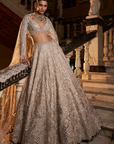 Nude Silver cut Work Lehenga Set