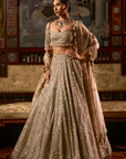 Gold Silver Tissue Lehenga Set