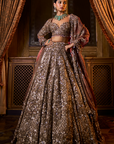 Bronze Tissue Lehenga Set