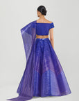 Fluted Tulle Printed Skirt with Lamina Scaled Top and Sunray Drape