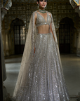 Champagne Mirror Work Lehenga Set