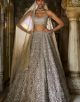 Silver Geometric Cut work Lehenga