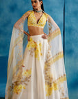 Ivory and Yellow Silk Chanderi Hand-Painted Embroidered Lehenga Set