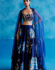 Navy Blue Silk Chanderi Hand-Painted Lehenga Set