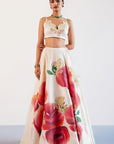 Beige and Red Silk Chanderi Hand-Painted Embroidered Lehenga Set