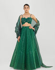 Liquid Mesh Cape Set with Fluted Tulle Skirt and Beaded Bustier