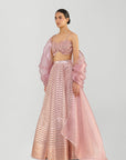 Liquid Mesh Cape Set with Fluted Tulle Skirt and Beaded Bustier