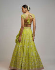 Golconda Nayla Lehenga Set