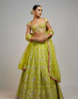 Golconda Nayla Lehenga Set