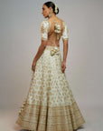 Golconda Shahi Lehenga Set