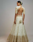 Golconda Naima Lehenga Set