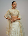 Golconda Naima Lehenga Set