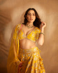 Golconda Anha Lehenga Set