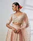 Anaya Lehenga