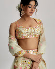 Shaira Lehenga Set