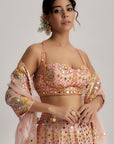 Delnaz Lehenga Set