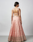 Daksha Lehenga Set