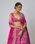 Krshnavi Lehenga Set