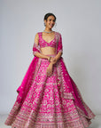 Krshnavi Lehenga Set