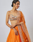 Janya Lehenga Set