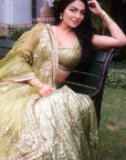 Reshmi Angoori Lehenga Set