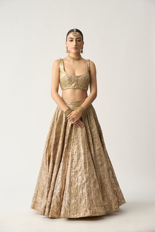 Mala Chandi Lehenga Blouse Set