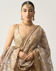 Shabnam Dupatta Chandi Lehenga Set