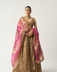 Gangu Dupatta Jamini Lehenga Set