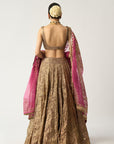 Gangu Dupatta Jamini Lehenga Set