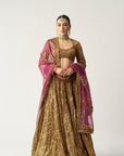 Ira Mehroon Lehenga Set