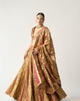 Gulabo Do Rang Lehenga Set