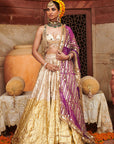 Chandi Sona Halftone Lehenga