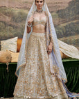 Khwab Sitara Lehenga and Veil