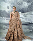 Metallic Embroidered Lehenga Set