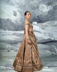 Metallic Embroidered Lehenga Set