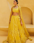 Yellow Lehenga Set - Eraya