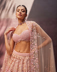 Blush Pink Bridal Lehenga Set - Eraya